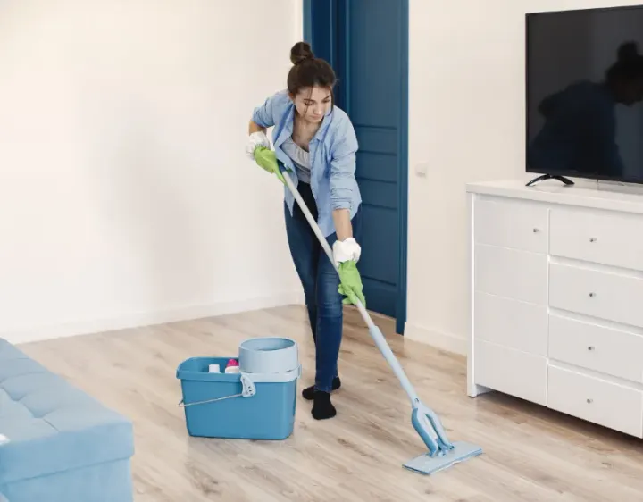 Femme de ménage Montech
